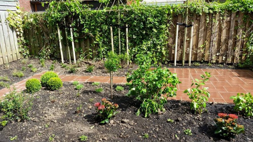 tuin met tegels